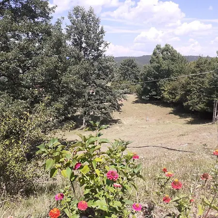 Lepa Kuca Tara Holiday home Kremna
