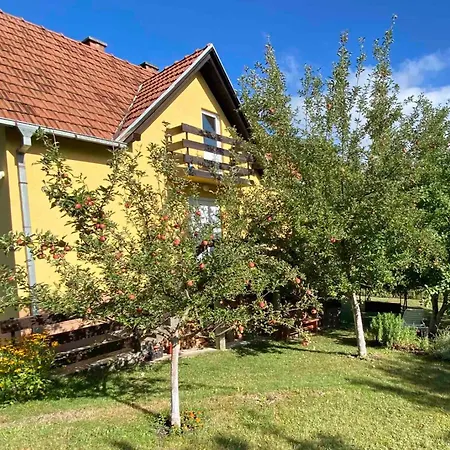 Lepa Kuca Tara