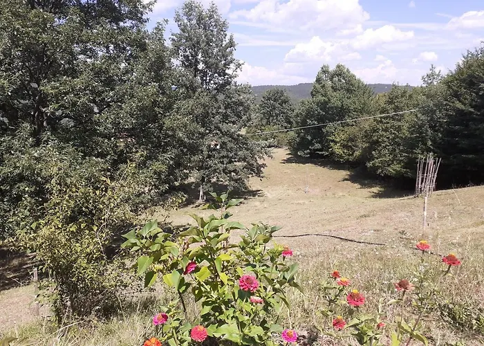 Lepa Kuca Tara Hébergement de vacances Kremna