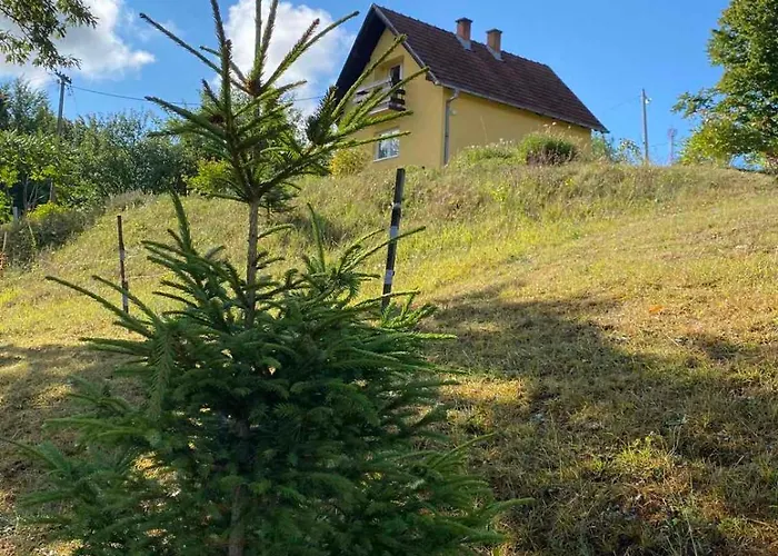 Lepa Kuca Tara * Kremna